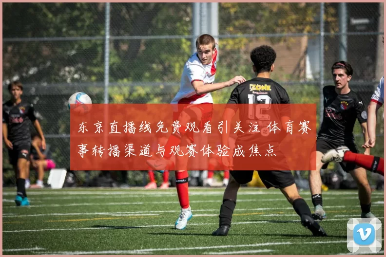 东京直播线免费观看引关注 体育赛事转播渠道与观赛体验成焦点