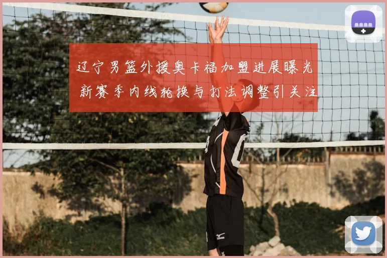 辽宁男篮外援奥卡福加盟进展曝光 新赛季内线轮换与打法调整引关注