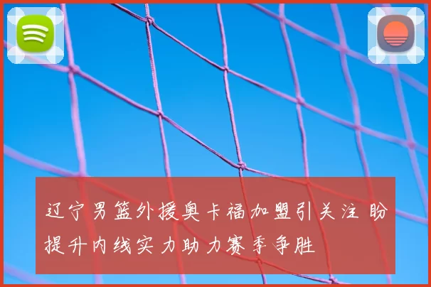 辽宁男篮外援奥卡福加盟引关注 盼提升内线实力助力赛季争胜